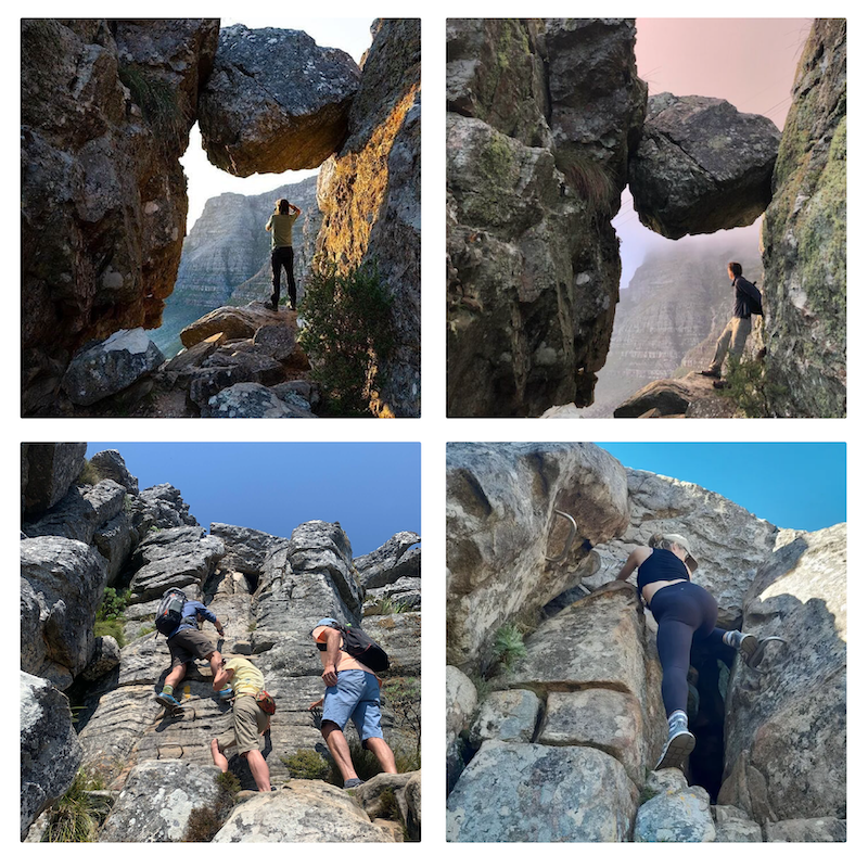 Hiking Trail India Vensters Table Mountain