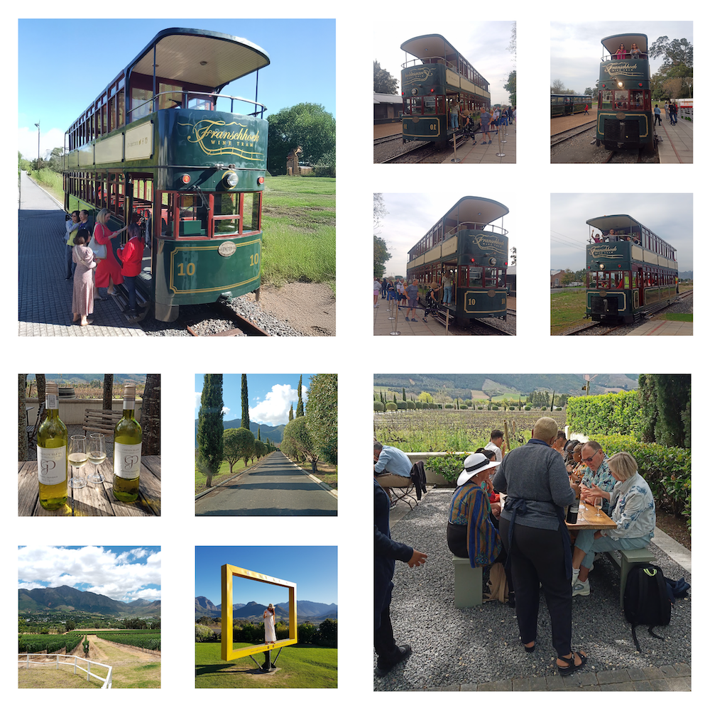 Franschhoek Winelands Wine Tram Product image