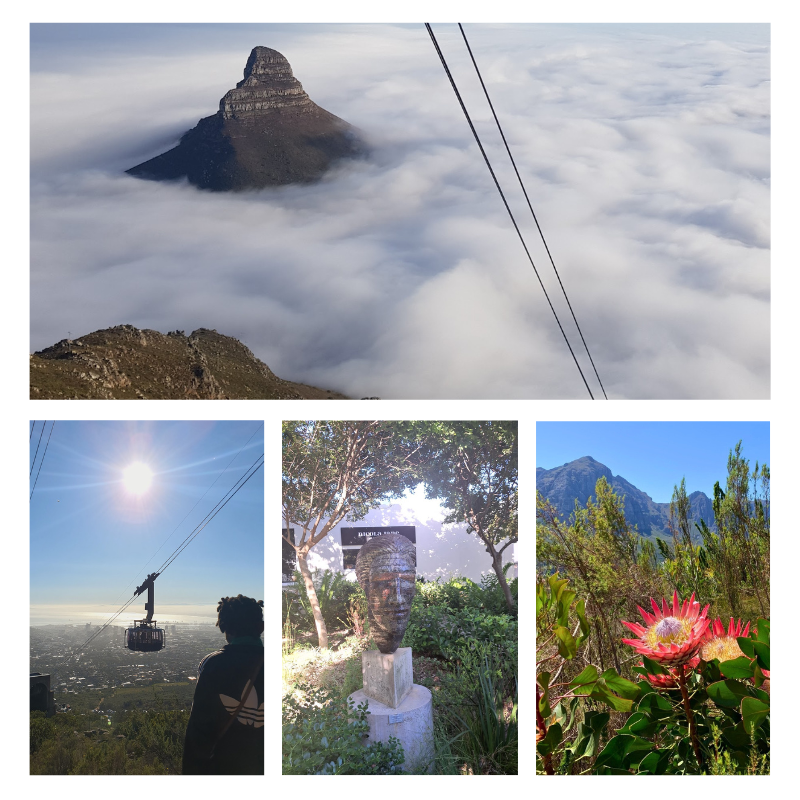 Table Mountain and City Tour